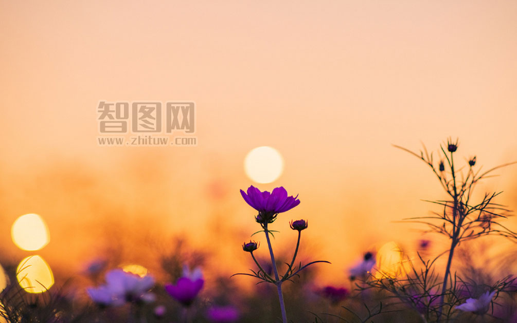 资本寒冬里,这名“学霸创业者”获红杉数千万A轮投资 资本寒冬里,这名“学霸创业者”获红杉数千万A轮投资